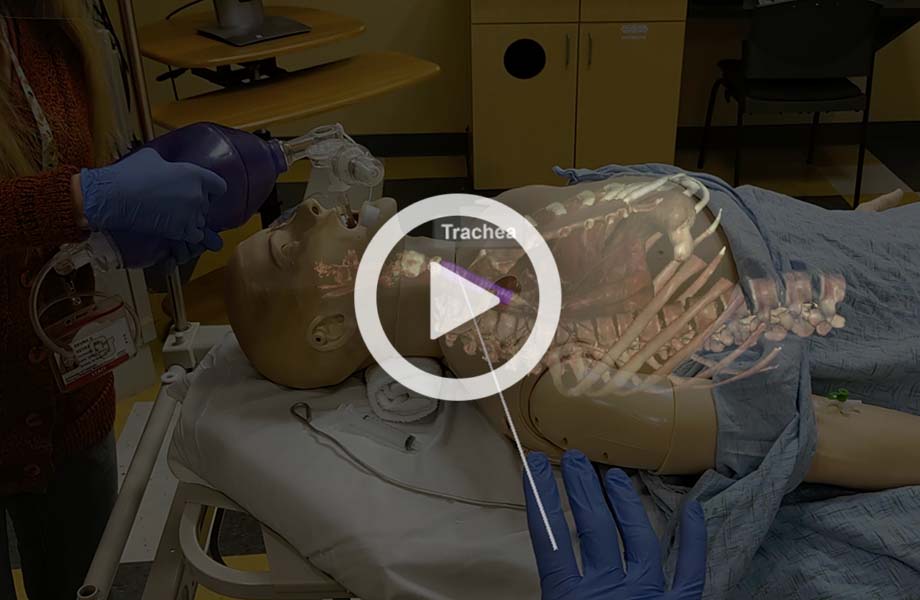 Screenshot of VH Dissector AR
