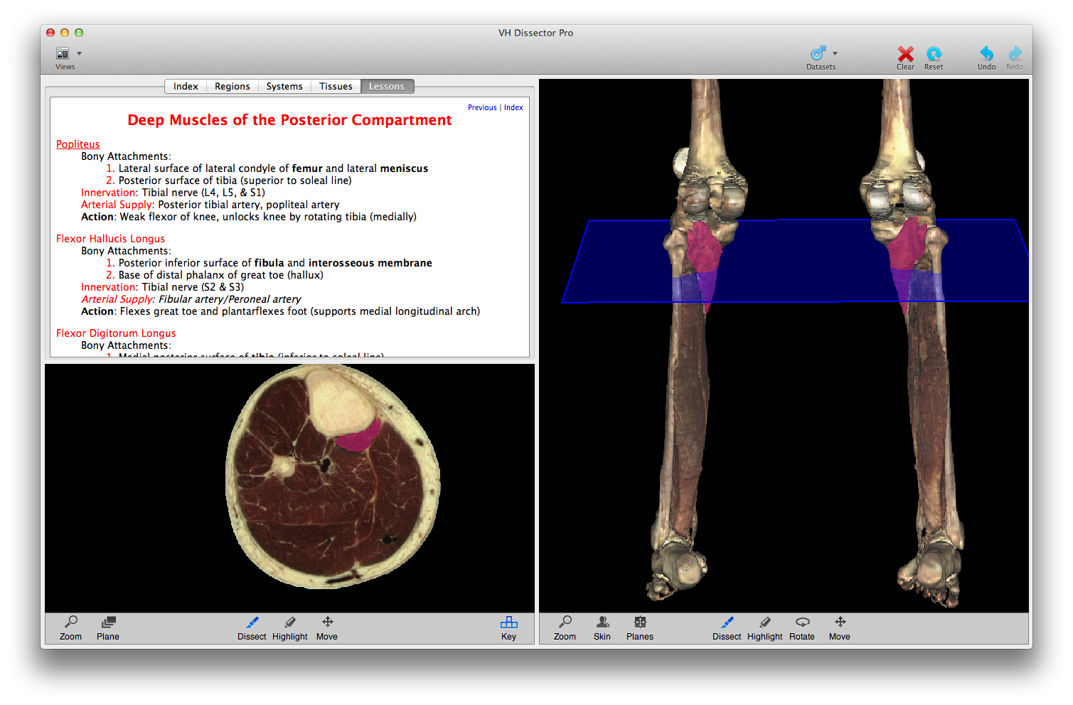 Toltech - Myopain Seminars