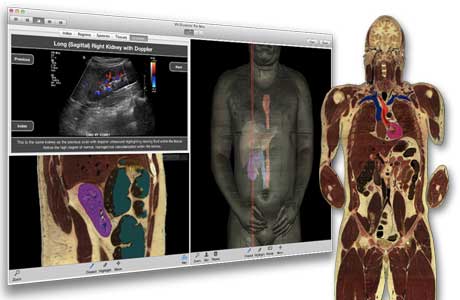Clinical Imaging