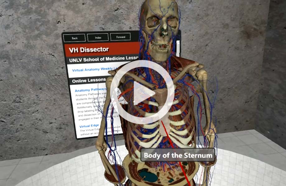 Screenshot of VH Dissector VR