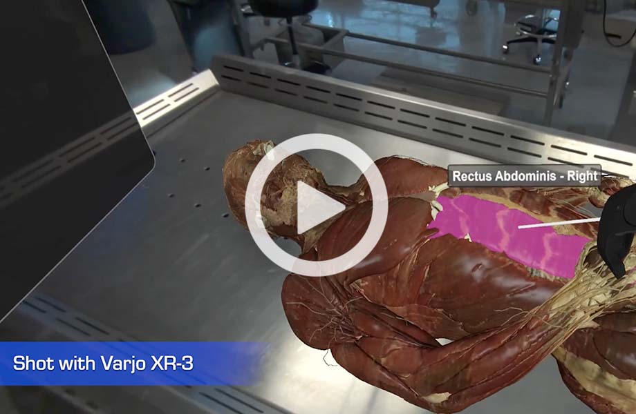 Screenshot of VH Dissector XR
